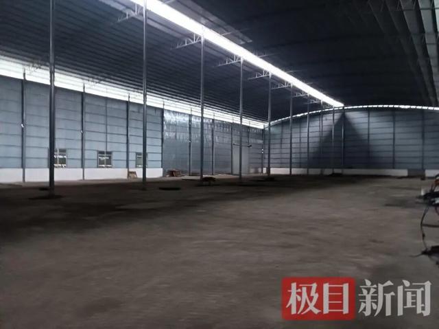 抖音雷神网：揭秘抖音网红的神秘力量？