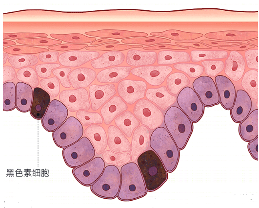 抖音涨站网站，如何快速提升抖音账号热度？