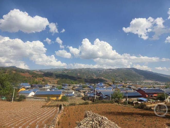 抖音低价自助平台，揭秘超低价购物秘密？