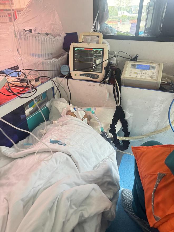 和平精英数据号卡网，如何轻松提升游戏体验？