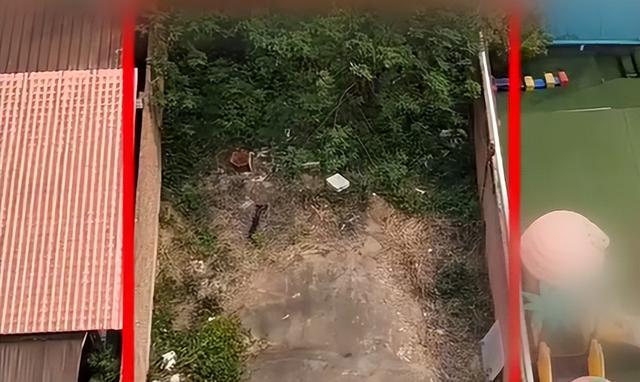 抖音自动推广引流，24小时自助平台，真的那么神奇吗？