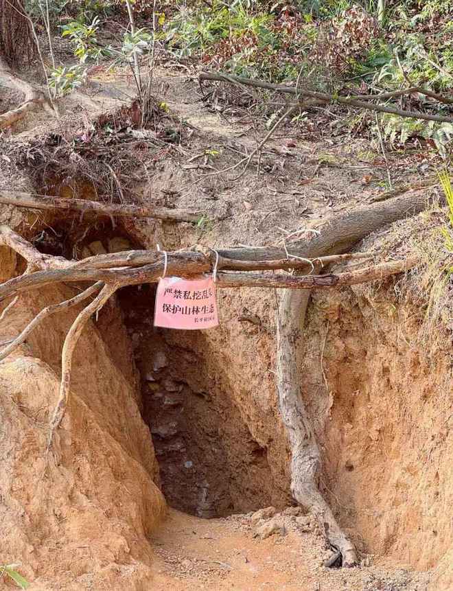 如何刷机抖音快速涨粉？揭秘高效涨粉秘诀！