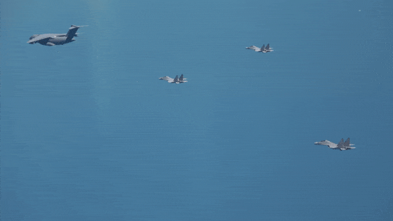 抖音业务24小时在线自助平台，真的便宜到不可思议吗？