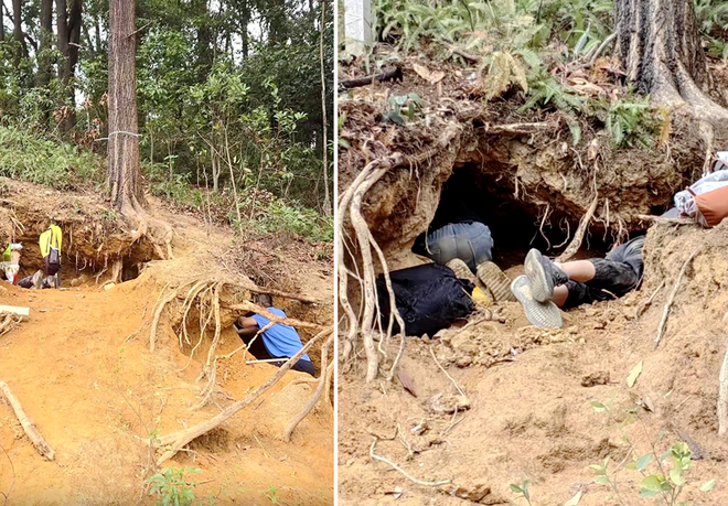 如何刷机抖音快速涨粉？揭秘高效涨粉秘诀！