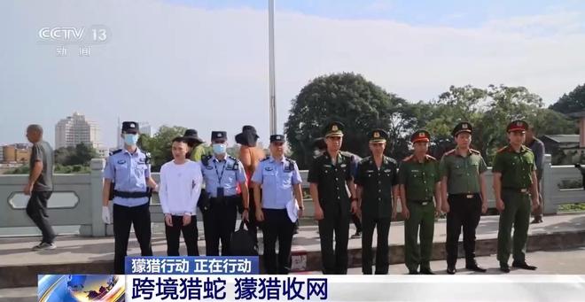 全网最低涨赞平台，真的靠谱吗？