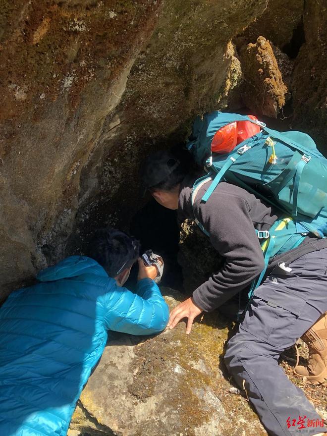 抖音粉丝下单平台，如何轻松实现粉丝变现？