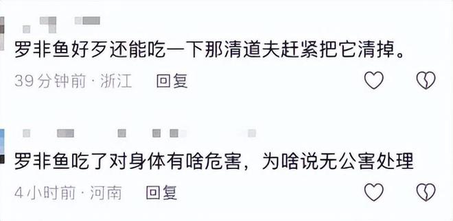 24小时自助下单平台，超低价购物体验，你还在等什么？