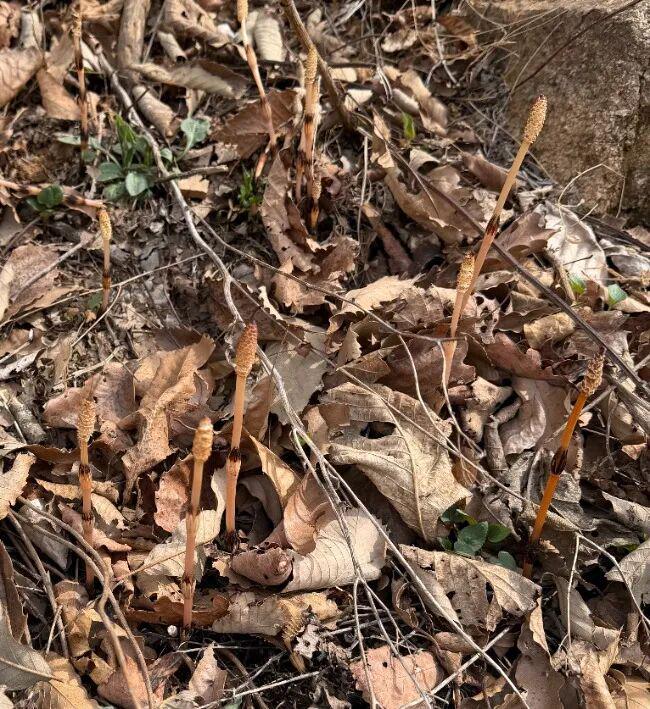 dy业务自助下单卡盟，如何轻松提升效率？