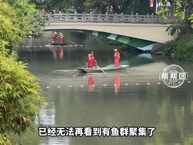 24小时自助下单平台，超低价购物体验，你还在等什么？