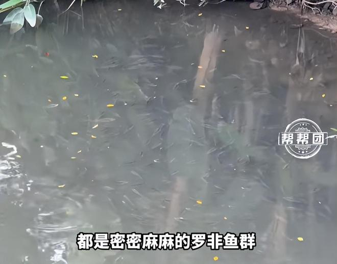 24小时自助下单平台，超低价购物体验，你还在等什么？