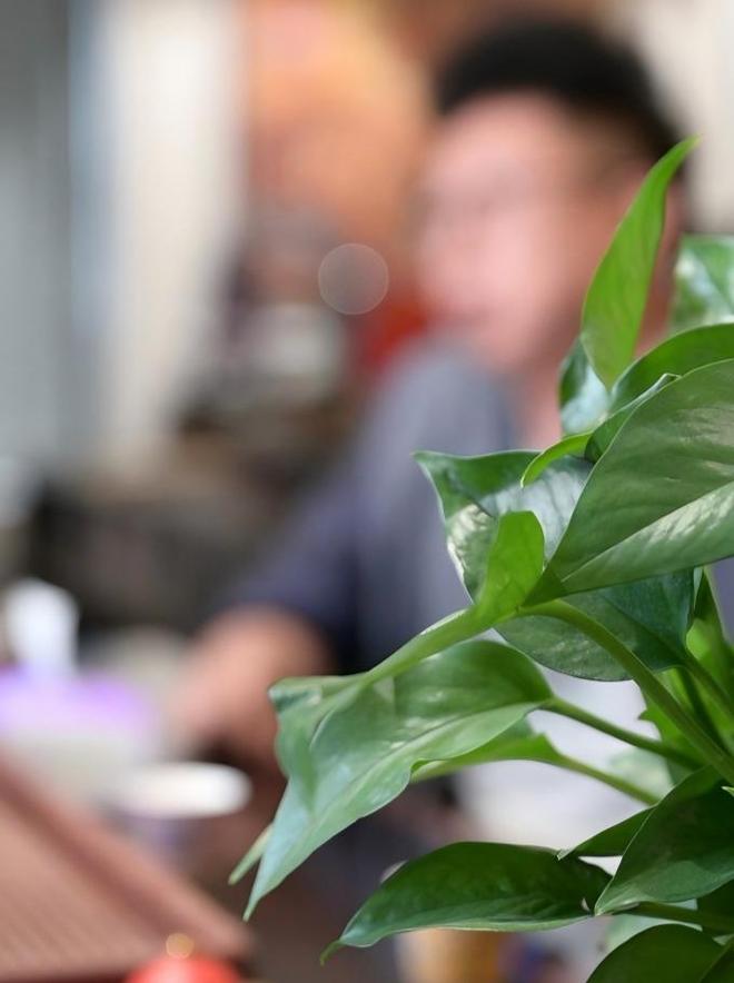 Dy播放量0.01元10000个下载-抖音业务晨光自助下单平台怎么样?