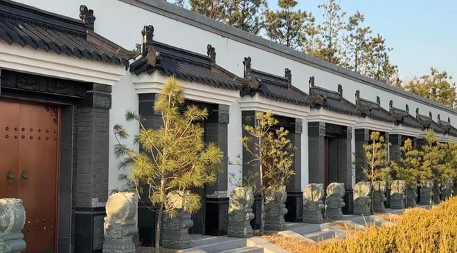 dy粉丝专享！24小时低价下单网站，你选对了吗？