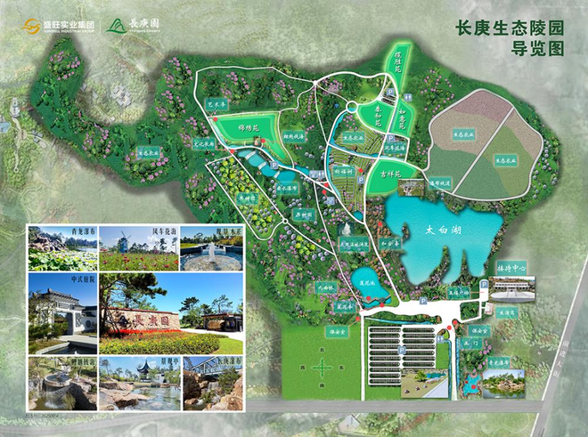 dy粉丝专享！24小时低价下单网站，你选对了吗？