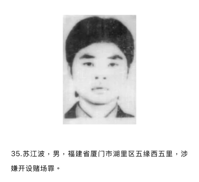 抖音低价业务24小时自助网址，揭秘独家优惠？