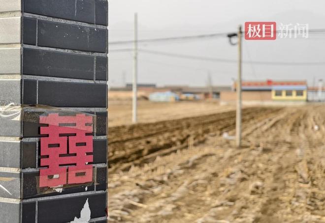 抖音点赞量自助下单服务网站，秒到账？揭秘高效点赞秘密！