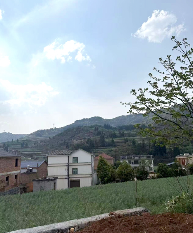 安卓版抖音刷双击免费？揭秘高效互动新玩法！