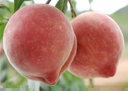 梦境中的甜蜜预兆，解析梦到桃子的寓意与深层含义