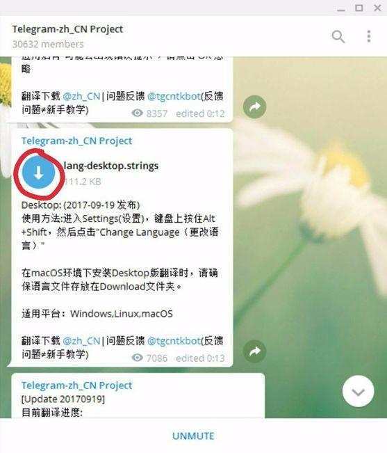 图片[29]-Telegram账号最新的注册及使用方法，保姆级教程-庆虎资源网