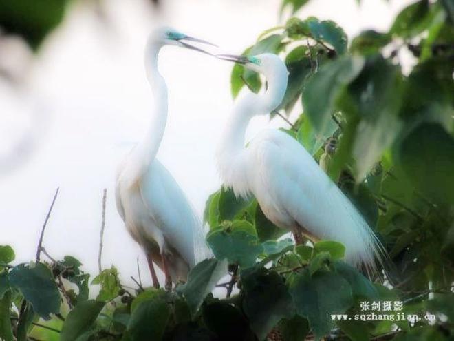 现代网络环境下的日常用浯