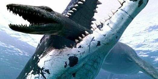 图片[5] - 侏罗纪世界最后的沧龙中字已完结[BD720P完整版]完整中字资源已完结 - 影视资源论坛 - 文件资源 - 小轻秀场