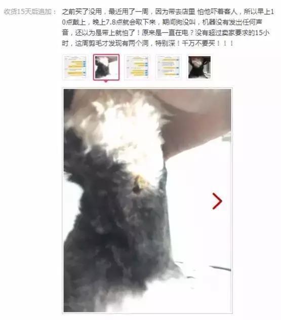 止吠電擊器有用嗎？這些人買給狗狗用后，看了令人超心疼