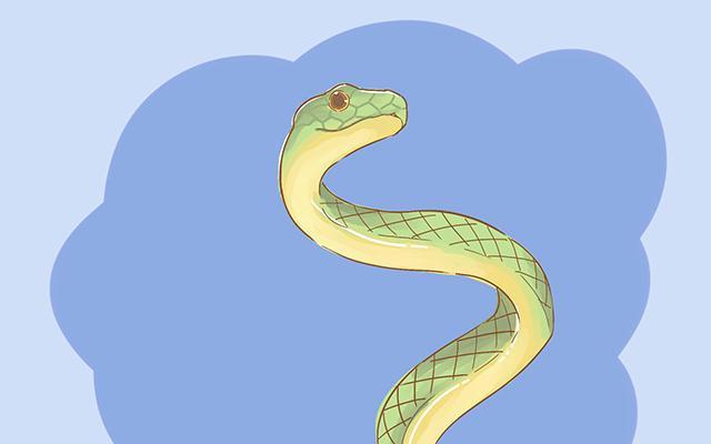 胎梦解析，黄黑蛇缠身寓意何在？