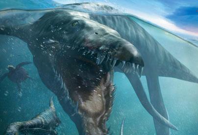 图片[3] - 侏罗纪世界最后的沧龙中字已完结[BD720P完整版]完整中字资源已完结 - 影视资源论坛 - 文件资源 - 小轻秀场