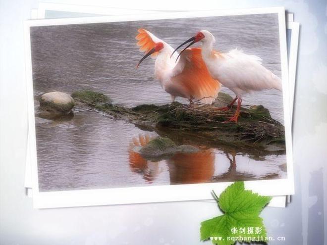 现代网络环境下的日常用浯