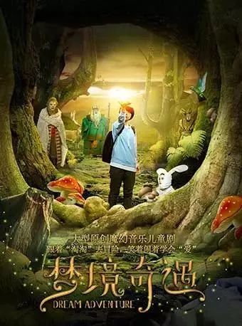 梦境奇遇，鸟语成龟的奥秘探索