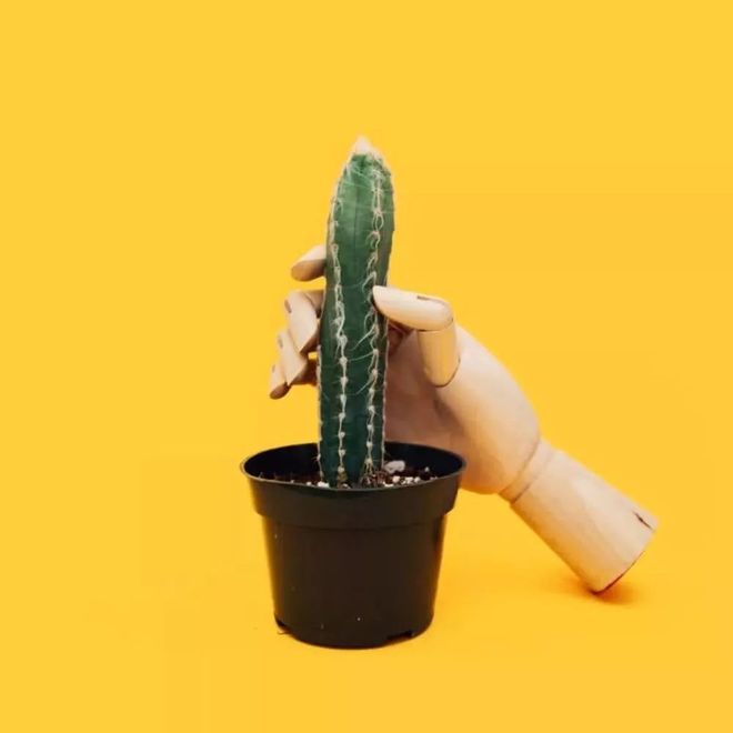 结婚后还买飞机杯好吗女生为什么有些男人婚后还用飞机杯？插图1