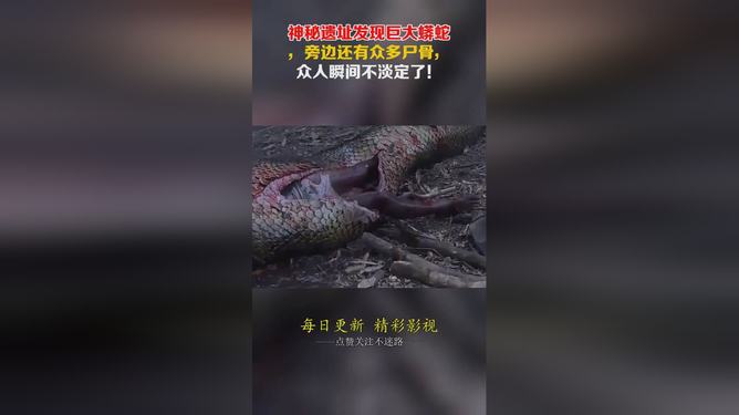 梦到蛇，潜意识的隐秘信息与文化象征解读