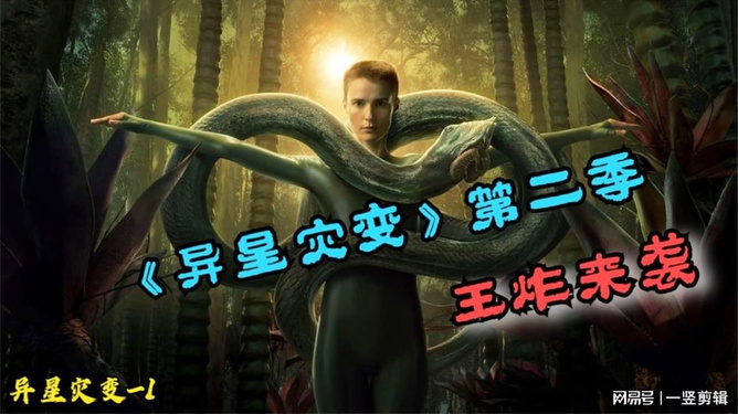 梦魇之蛇，解析频繁梦见多蛇与大蛇咬伤的深层含义