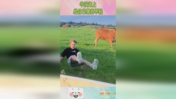 为什么我做梦总是梦到牛追我呢？——探索梦境中的象征与心理解析