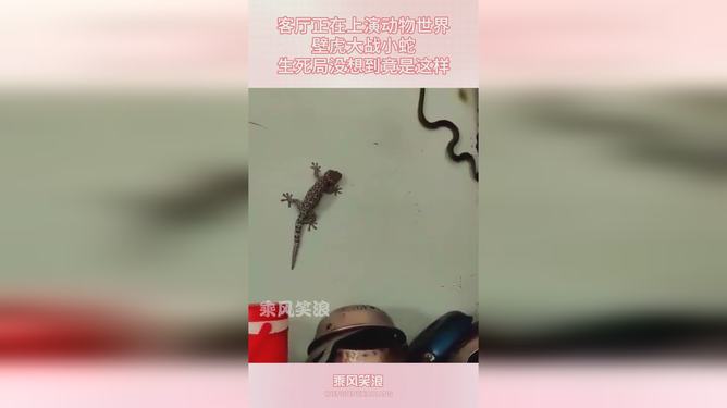梦境密码，梦见三条小蛇死亡与一条蜕皮背后的心理隐喻
