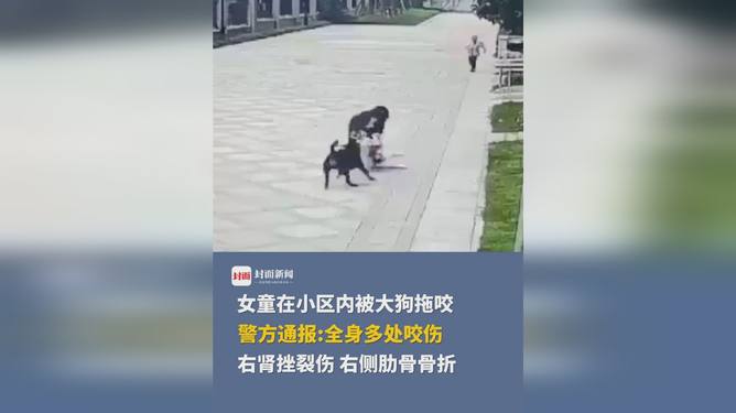 梦到被狗咬伤，解读梦境中的警示与内心深处的呼唤