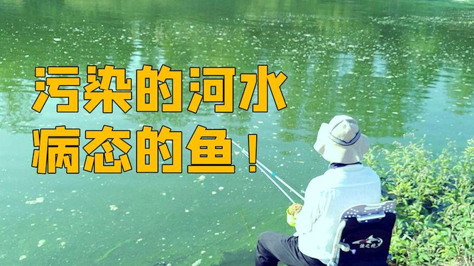 梦境中的母爱与扶持，解析梦见母亲过桥未成功，亲人相助却显病态的深层含义