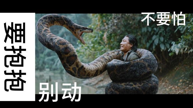 梦境迷雾，探索梦见一条黑色大蟒蛇要亲我的深层含义