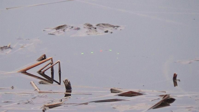 梦境启示，人生初钓，鲤跃梦中