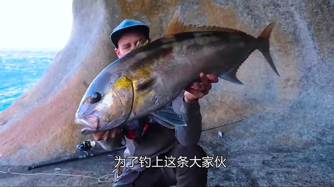 梦回水泽，解读梦到鱼咬鱼的深层寓意