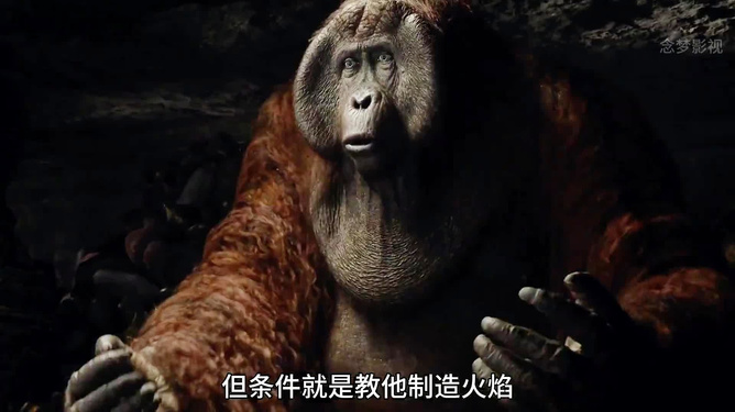 梦到猴子的奇幻之旅，一场心灵深处的探索与觉醒