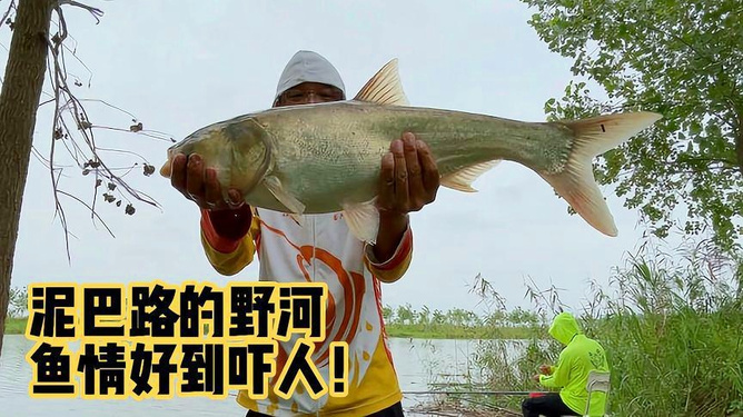 梦境的深意，解析梦见我在大河里捞了好多好多的鱼的寓意