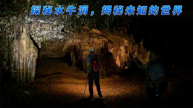 梦境探秘，梦见小青蛇向我扑来——解密潜意识中的微妙信号