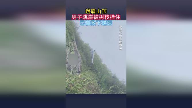 梦到大蛇盘树咬一个男人，潜意识的隐喻与心理解析