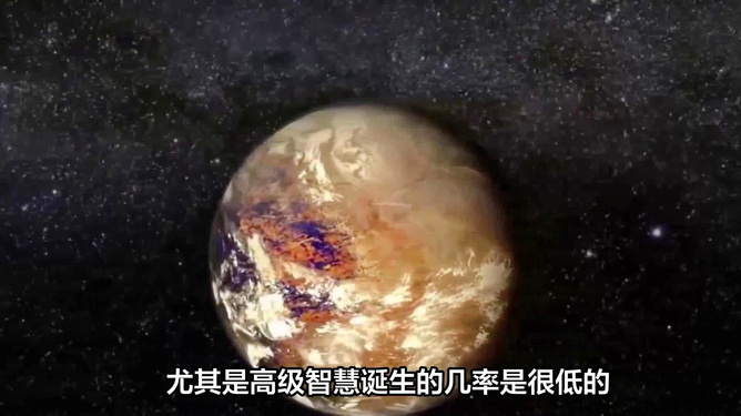 梦到老鼠是胎梦吗？——解析梦境中的神秘信号