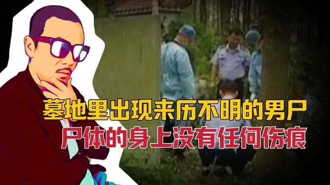 梦境之谜，解析与他人争执后，她突然动手，我竟莫名死去——一场内心冲突的隐喻之旅
