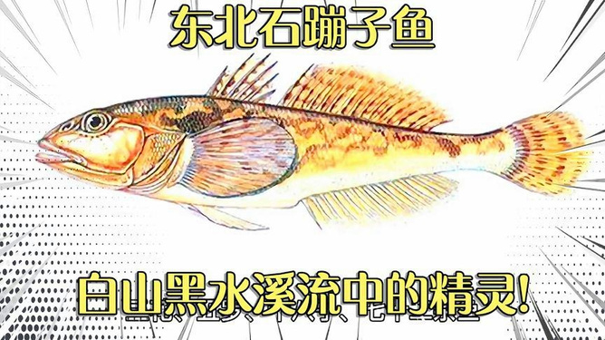梦到鱼在蹦，深潜的寓意与心灵跃动的解析