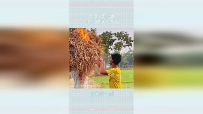 梦境的丰收，梦见帮小姐妹地里干活捡到好多板栗的深层含义解析