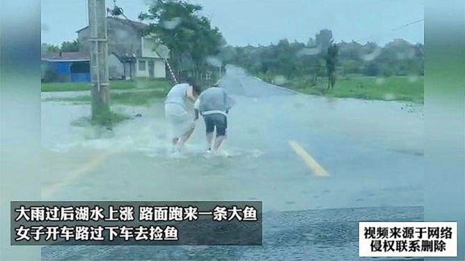 解读梦境中的雨与奔跑，昨天晚上做梦梦到下雨了我使劲跑使劲跑，预示着什么？