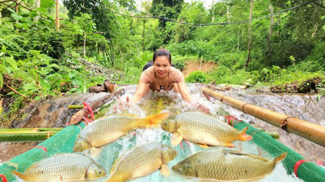 梦里水乡，抓鱼与放生的哲学——解析梦见在水里抓鱼很多鱼抓了又放放也放不走的深层含义
