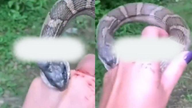 梦境解析，下牙脱落、流血与蛇咬的预兆